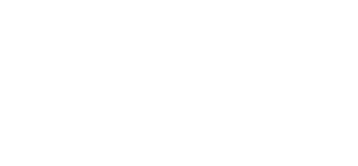 Salvo Seeds